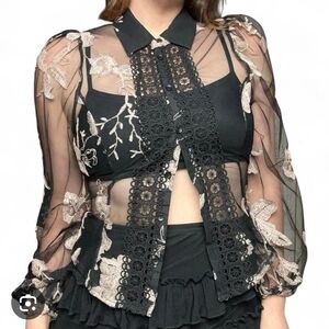 Chic Sheer Black Floral Embroidered Blouse